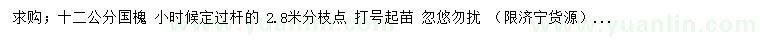 求購12公分國槐