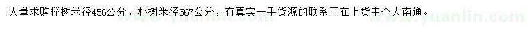 求購(gòu)米徑4、5、6公分櫸樹(shù)、米徑5、6、7公分樸樹(shù)