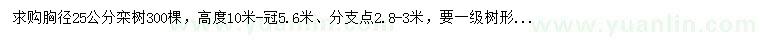 求購(gòu)胸徑25公分欒樹(shù)