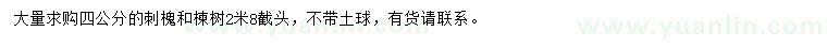 求購4公分刺槐、楝樹