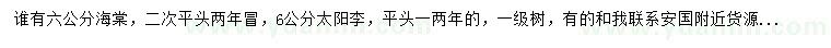 求購6公分海棠