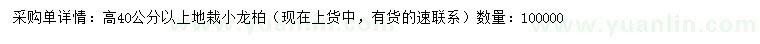 求購高40公分以上小龍柏