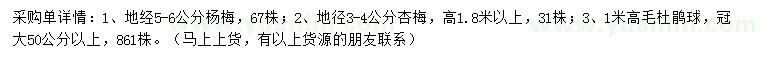 求購楊梅、杏梅、毛杜鵑球