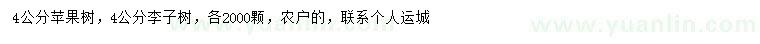 求購4公分蘋果樹、李子樹