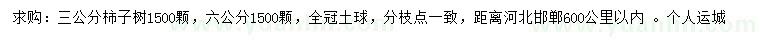 求購3、6公分柿子樹