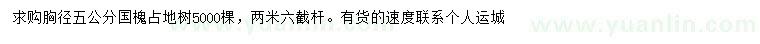 求購胸徑5公分國槐