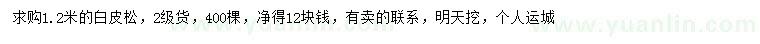 求購(gòu)1.2米白皮松