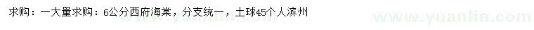 求購6公分西府海棠