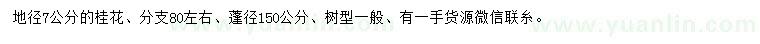 求購地徑7公分桂花