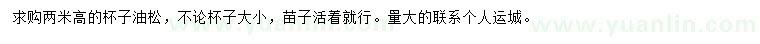 求購(gòu)高2米油松