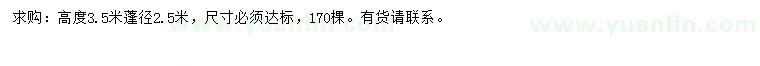 求購高3.5米紅葉石楠柱
