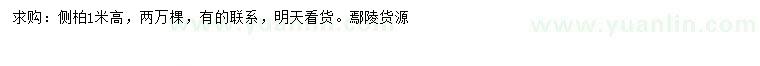 求購高1米側(cè)柏