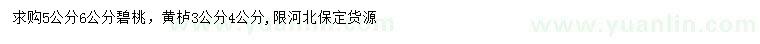 求購(gòu)5、6公分碧桃、3、4公分黃櫨