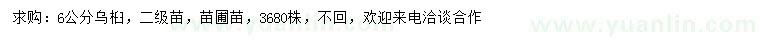 求購6公分烏桕