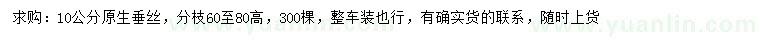 求購10公分垂絲海棠