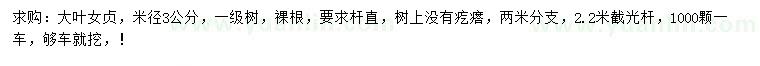 求購米徑3公分大葉女貞