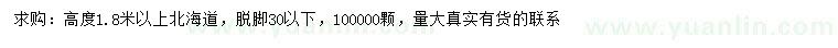 求購高1.8米以上北海道黃楊