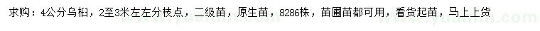 求購4公分烏桕