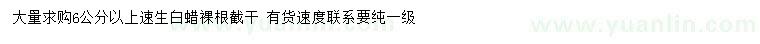 求購6公分以上速生白蠟