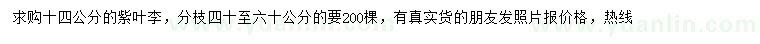 求購14公分紫葉李