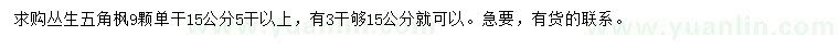 求購單桿15公分叢生五角楓