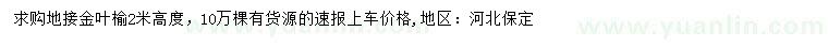 求購高2米金葉榆