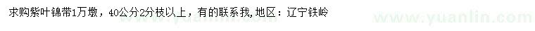 求購40公分紫葉錦帶