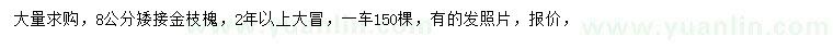 求購8公分矮接金枝槐