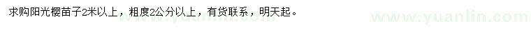 求購2米以上陽光櫻