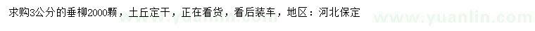 求購3公分垂柳