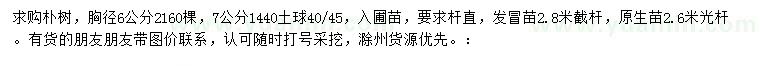 求購胸徑6、7公分樸樹