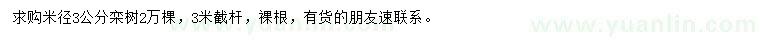 求購米徑3公分欒樹