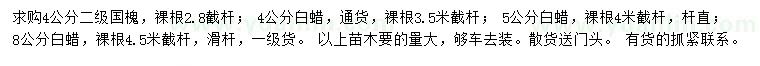 求購(gòu)4公分國(guó)槐、4、5、8公分白蠟