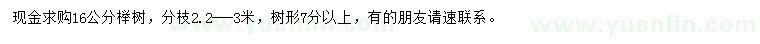 求購16公分櫸樹