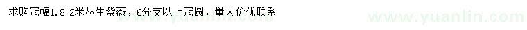 求購冠幅1.8-2米叢生紫薇