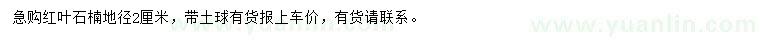 求購(gòu)地徑2公分紅葉石楠