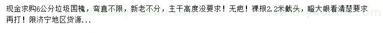 求購6公分國槐