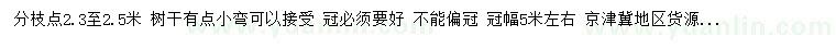 求購18公分五角楓