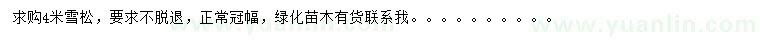 求購4米雪松