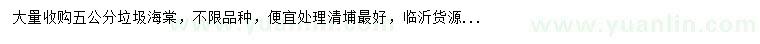 求購(gòu)5公分海棠