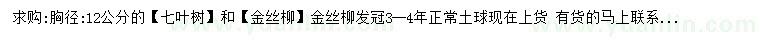 求購(gòu)胸徑12公分七葉樹、金絲柳