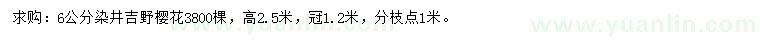 求購6公分染井吉野櫻