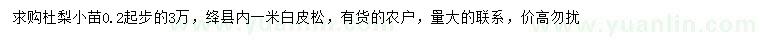 求購0.2公分起步杜梨、1米白皮松