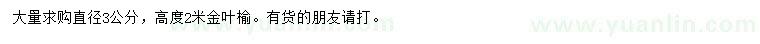 求購(gòu)高2米金葉榆