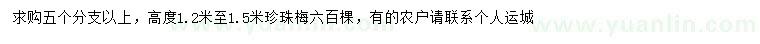 求購高1.2至1.5米珍珠梅