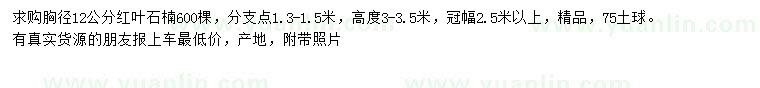求購胸徑12公分紅葉石楠