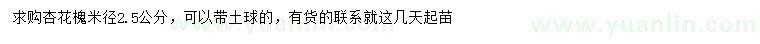 求購(gòu)米徑2.5公分杏花槐