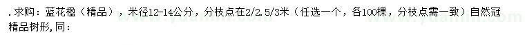 求購米徑12-14公分藍花楹