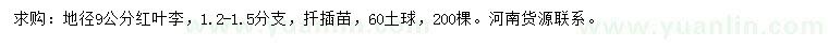 求購地徑9公分紅葉李