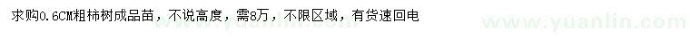 求購0.6公分柿樹